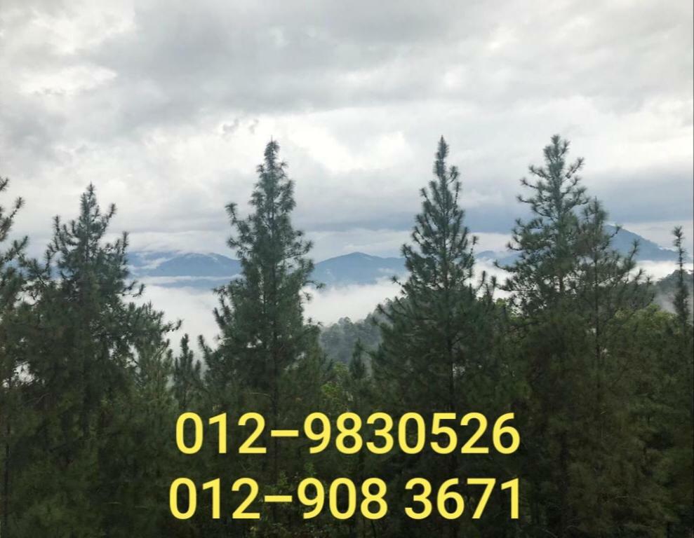 Bukit Tinggi Berjaya Hill Homestay Экстерьер фото